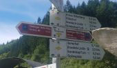 Excursión A pie Durbach - Durbachtalweg - Photo 1