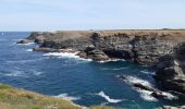 Excursión Senderismo Sauzon - pointe des poulains - Photo 10