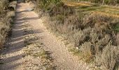 Randonnée Marche Astorga - 2023 11 01 CAMINO FRANCES - 40ème étape : Astorga - Murias de Rechivaldo - Sta Catalina de Somoza El Ganso - Rabanal del Camino - Foncebadon - Manjarin - El Acebo - Riego de Ambrosien Molinaseca Ponferrada  - Photo 5