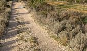 Trail Walking Astorga - 2023 11 01 CAMINO FRANCES - 40ème étape : Astorga - Murias de Rechivaldo - Sta Catalina de Somoza El Ganso - Rabanal del Camino - Foncebadon - Manjarin - El Acebo - Riego de Ambrosien Molinaseca Ponferrada  - Photo 5