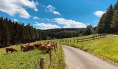 Tour Wandern Bièvre - Marche Adeps de Oizy 15 km - Photo 1