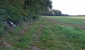 Randonnée Marche Fréteval - Fréteval - Etang Champs Bois Donjon - Photo 20