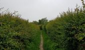 Tour Wandern Lüttich - Rocourt - Oupeye - Rocourt  - Photo 1