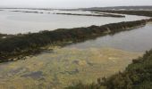 Tour Wandern Gruissan - Gruissan - Tour de l'île Saint Martin par l'Ayrolle - Photo 2