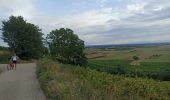 Tour Rennrad Molsheim - Molsheim - Turckheim  - Photo 6