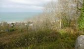 Trail Walking Blonville-sur-Mer - Entre marais et histoire - Photo 7