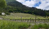 Trail Walking Die - Col de Bergu  - Photo 1