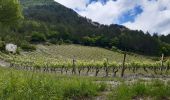 Tour Wandern Die - Col de Bergu  - Photo 1