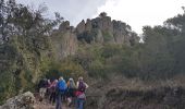 Excursión Senderismo Fréjus - Mont Vinaigre - Photo 11