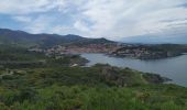 Trail Walking Port-Vendres - sentier du littoral Catalan - Photo 10