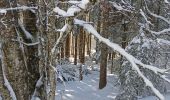 Randonnée Raquettes à neige La Pesse - L'Embossieux-La Croix des couloirs-La Pesse - Photo 9