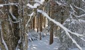 Tour Schneeschuhwandern La Pesse - L'Embossieux-La Croix des couloirs-La Pesse - Photo 9