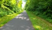 Excursión Bicicleta híbrida Lévignen - Voie verte de Valois - Photo 11