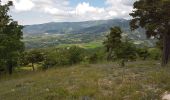 Trail Walking Saint-André-de-Rosans - SAINT ANDRE DE ROSANS - SERRE DE BOUT - Photo 3