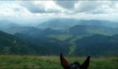 Trail Horseback riding Vassieux-en-Vercors - Boucle Vassieux - Col de Vassieux - Photo 1
