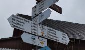 Tocht Te voet Sasbachwalden - Augenblickrunde Sasbachwalden Hörchenberg - Photo 6