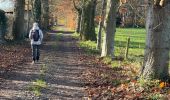 Tour Wandern Bierbeek - Biebeek variante - Photo 7