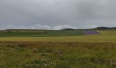 Randonnée Marche Sangatte - Cap Blanc Nez  - Photo 11