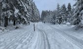 Tocht Sneeuwschoenen Malmedy - Randonnée raquettes Mont Spinette-Malmédy - Photo 1