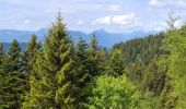 Trail Walking Crêts-en-Belledonne - LE REFUGE DU CRET DU POULET - Photo 2