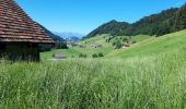 Tour Wandern Stansstad - 2020-07-08 Burgenstock Suisse - Photo 12