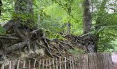 Tour Wandern Auderghem - Oudergem - Rouge cloître notte o mattino  - Photo 4