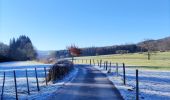 Excursión Senderismo Stoumont - Promenade au départ de Moulin du Ruy  - Photo 2