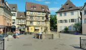 Randonnée Marche Colmar -  TREK ALSACIEN (balade découverte de Colmar)  - Photo 6