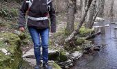 Trail Walking Lunas - val de nize - Photo 2