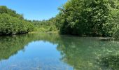 Trail Walking Meix-devant-Virton - Gerouville - Photo 5