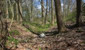 Trail On foot Ebersburg - Rhön-Rundweg 1 Ebersburg - Photo 3