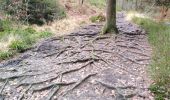 Tour Wandern Jalhay - pont de belle heid la vallée de la hoegne - Photo 7