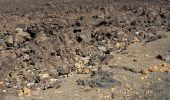 Tocht Stappen Tinajo - LANZAROTE 02 - Caldera Blanca - Photo 1