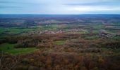 Tocht Stappen Braillans - Braillans Fort de la Dame Blanche - Photo 5