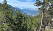 Tour Wandern Montgenèvre - Station du chalvet  - Photo 3