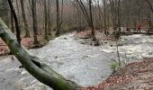 Tour Zu Fuß Jalhay - Jalhay ,pont de Bell heid 6 Km - Photo 16