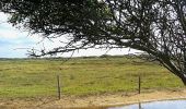 Tour Zu Fuß Texel - De Bollekamer - Photo 10