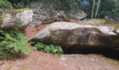 Randonnée Marche Névez - Le Heant - Photo 3