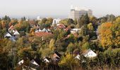 Tour Zu Fuß Sennfeld - Igel-Weg - Photo 10