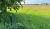 Trail Walking Sluis - Aardenburg 19 km - Photo 14