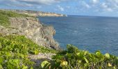 Trail Trail Anse-Bertrand - La mahaudiere - Photo 13