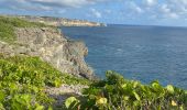 Randonnée Trail Anse-Bertrand - La mahaudiere - Photo 13