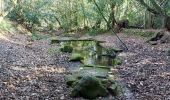 Trail Walking Baud - PR_56_Baud_AA_01_Landes-De-Kerbraz_Circuit1b_20230212 - Photo 1
