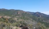 Trail Walking Bagnols-en-Forêt - Les gorges du Blavet casteldiaou - Photo 3