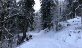 Tocht Stappen Ventron - Ventron col du colet  - Photo 7