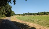 Randonnée Marche Rivarennes - Rivarennes - Rigny-Ussé via PRs - 17.3km 145m 4h55 (1h) - 2025 06 20 - Photo 14