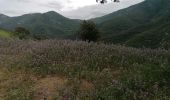 Tour Wandern Laroque-des-Albères - La vallée heureuse retour par le lotisement - Photo 3