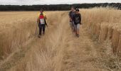 Percorso Marcia Giverny - Giverny : les coteaux vers le Vexin 13 km - Photo 2