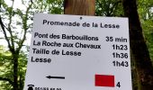 Tocht Stappen Libin - Promenade de la Lesse (8,6km)   - Photo 8
