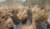 Trail Walking Fontainebleau - barbizon 16 mars 2021  - Photo 4